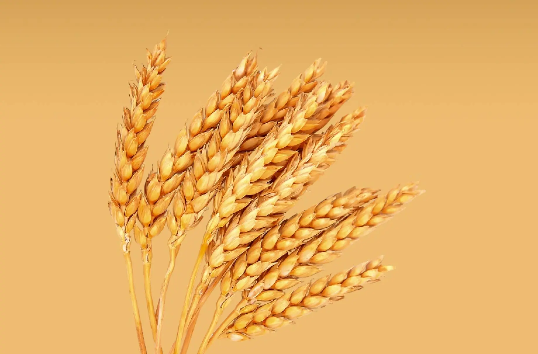 uralchem